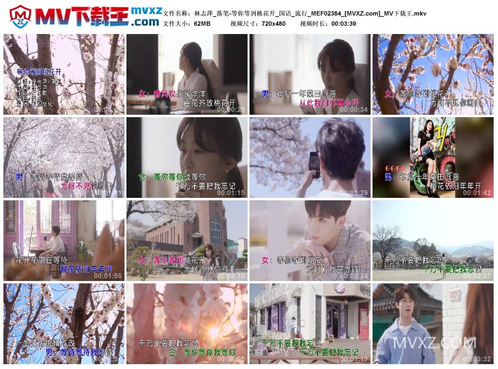 林志萍_落笔-等你等到桃花开_国语_流行_MEF02384